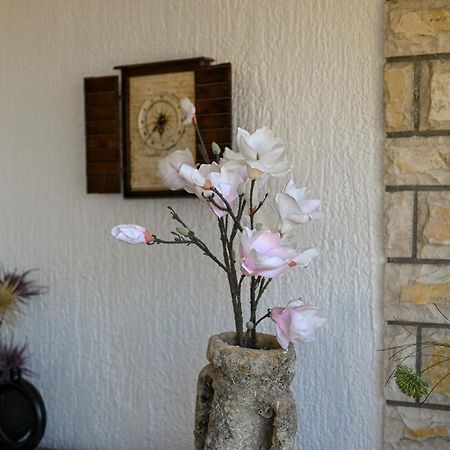 טרוגיר Apartment Spira Puovica מראה חיצוני תמונה