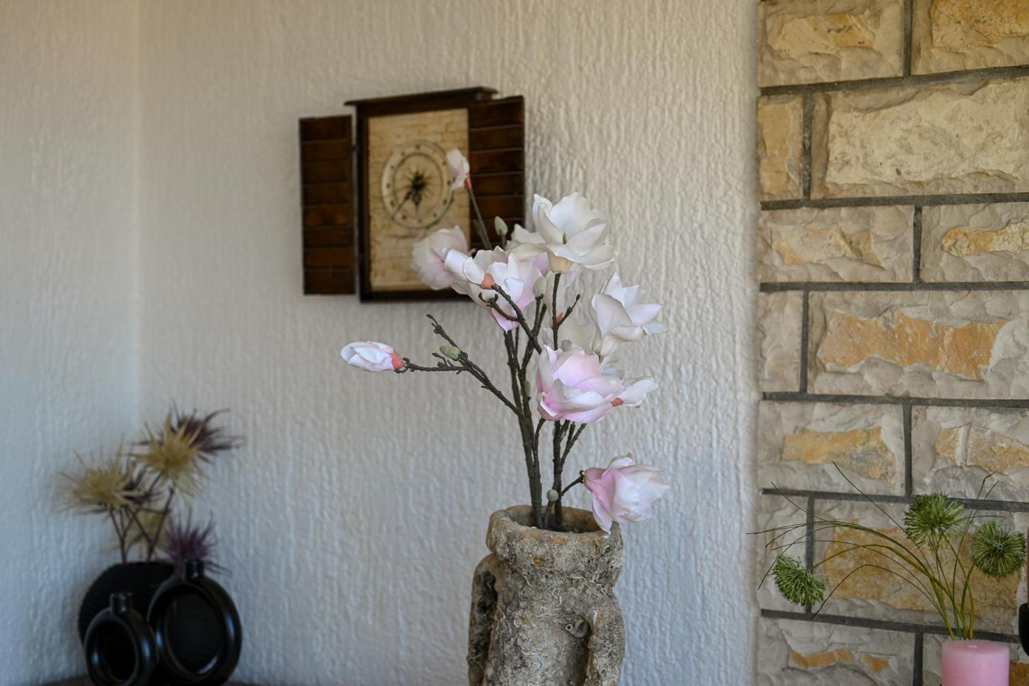 טרוגיר Apartment Spira Puovica מראה חיצוני תמונה