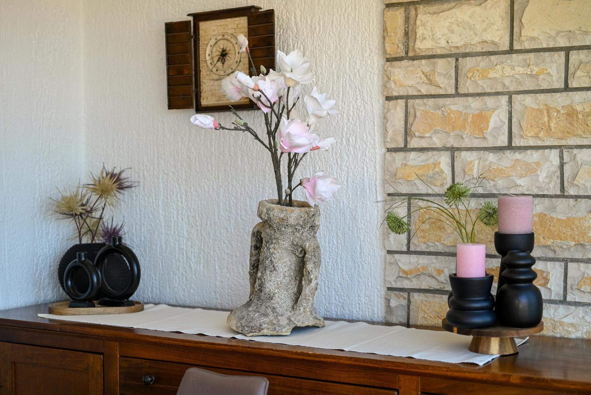 טרוגיר Apartment Spira Puovica מראה חיצוני תמונה