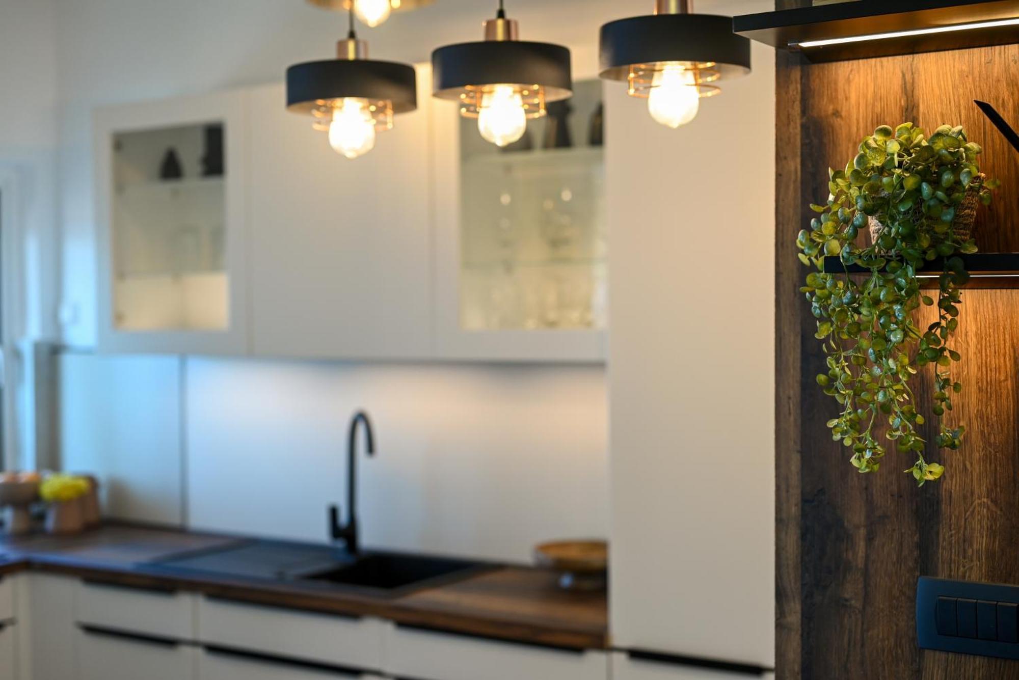 טרוגיר Apartment Spira Puovica מראה חיצוני תמונה